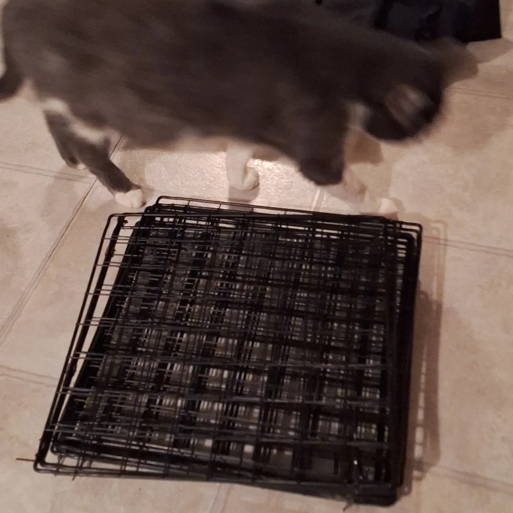 Black Small Pet Playpen